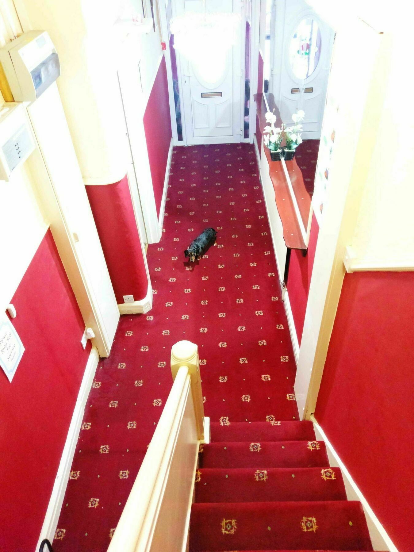 Ringbane House Bed and Breakfast Blackpool Exteriör bild